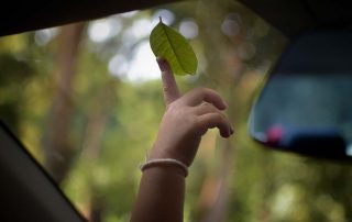 como-reducir-tu-huella-de-carbono-con-el-autogas-glp-beneficios-y-ahorros